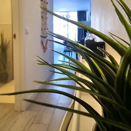 524 Ocean Dreams Americas Apartmán